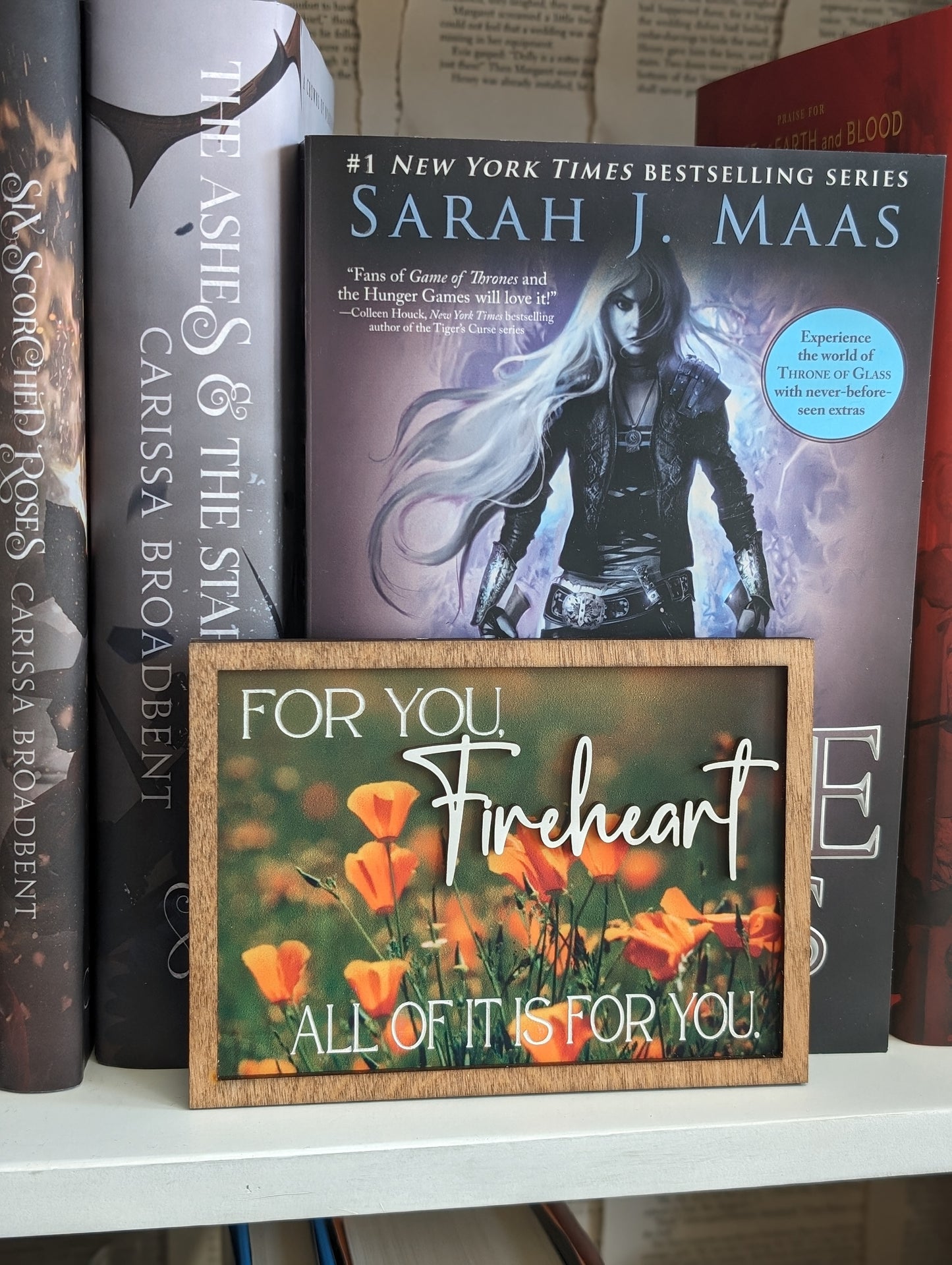 All Of It Is For You | Licensed Throne of Glass Bookshelf Sign