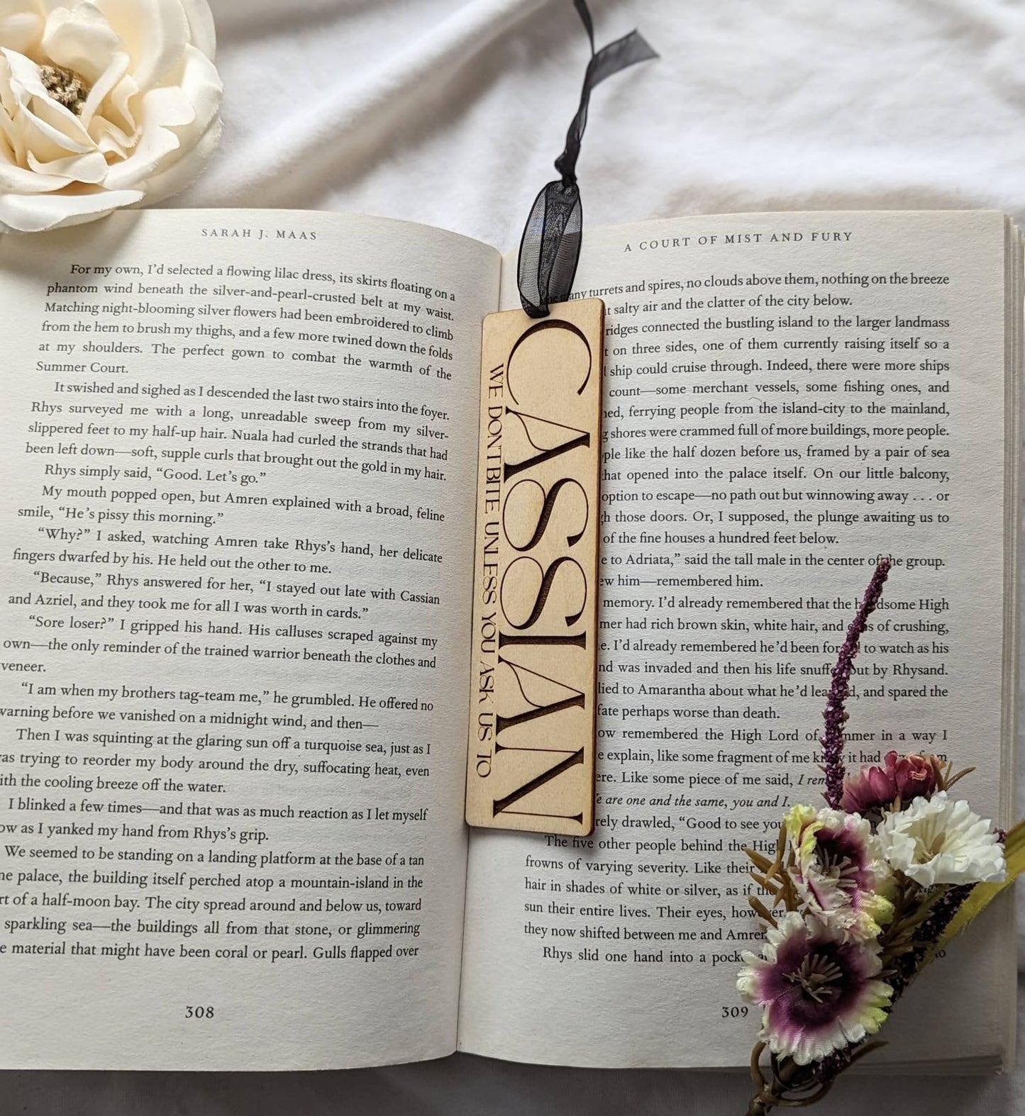 Cassian "We don't bite unless you ask us to" | Licensed ACOTAR wooden bookmark - Quill & Cauldron