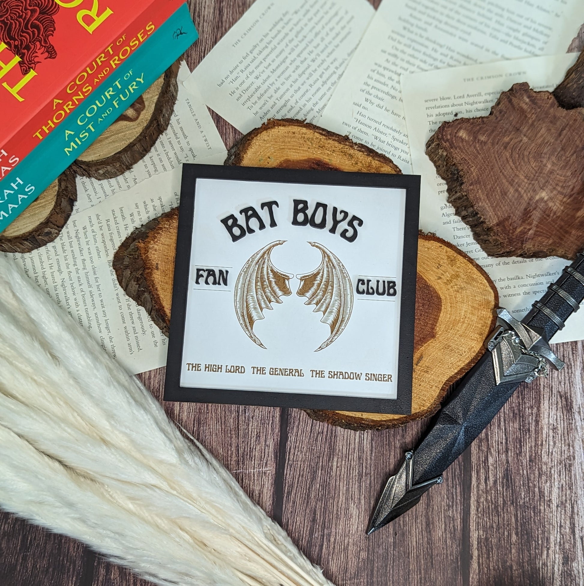 Bat Boys Fan Club | Licensed ACOTAR Bookshelf Sign - Quill & Cauldron