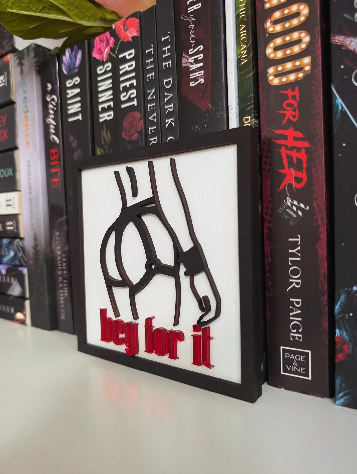 Beg For It Bookshelf Sign