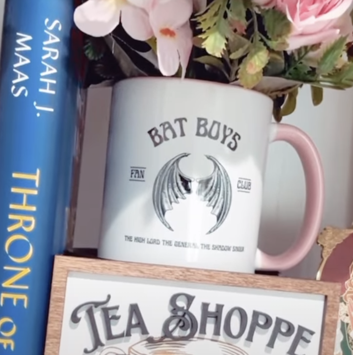 Bat Boys Fan Club Officially Licensed ACOTAR Mug, 11oz - Quill & Cauldron