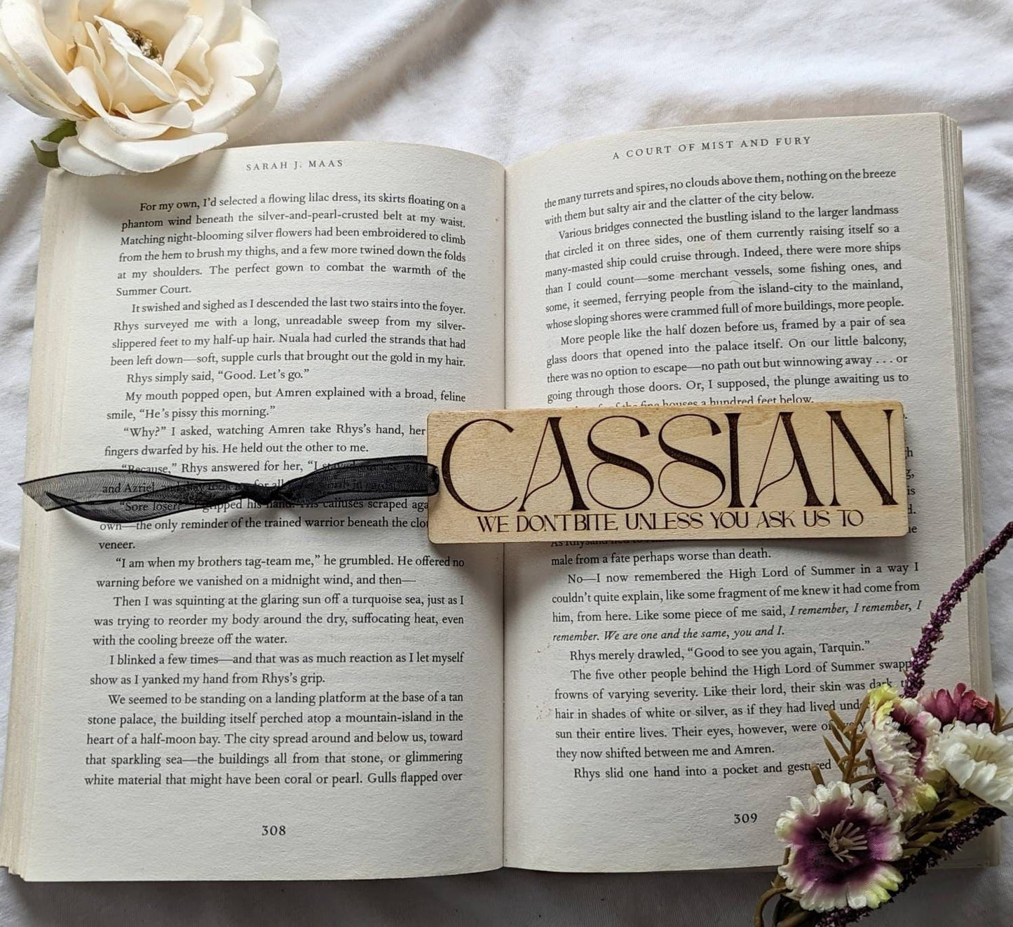 Cassian "We don't bite unless you ask us to" | Licensed ACOTAR wooden bookmark - Quill & Cauldron